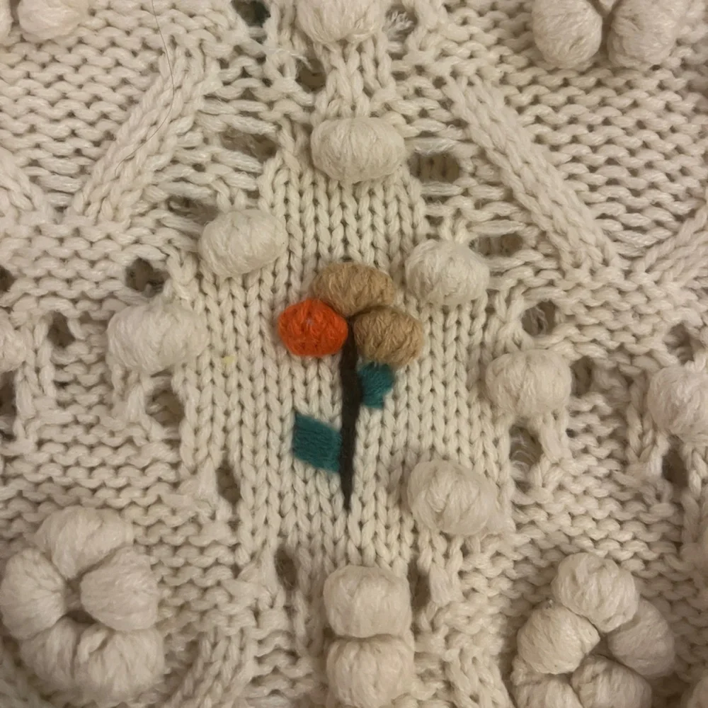 Zara Crochet Knit with Floral Appliqués Sweater - Picture 6 of 8
